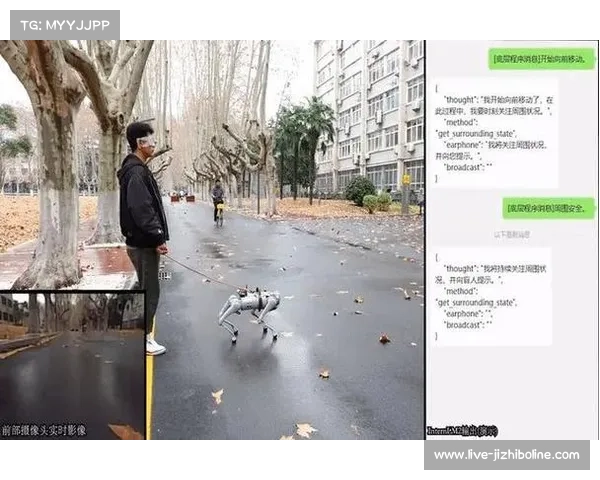 残奥训练创新突破 导盲犬与视障选手携手完成10公里挑战 残奥训练创新突破 导盲犬与视障选手携手完成10公里挑战